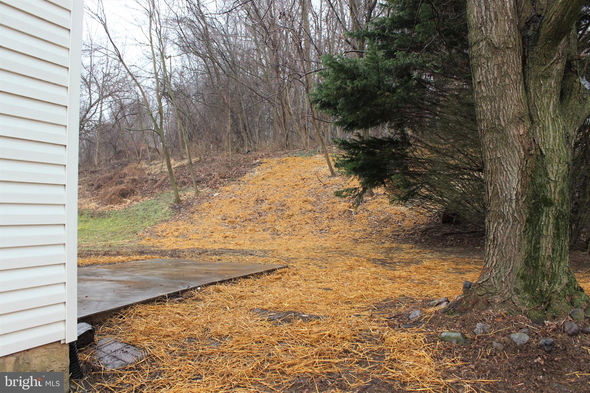 3162 William Road Garnet Valley, PA 19060 - Photo 27 of 29 Rear Yard