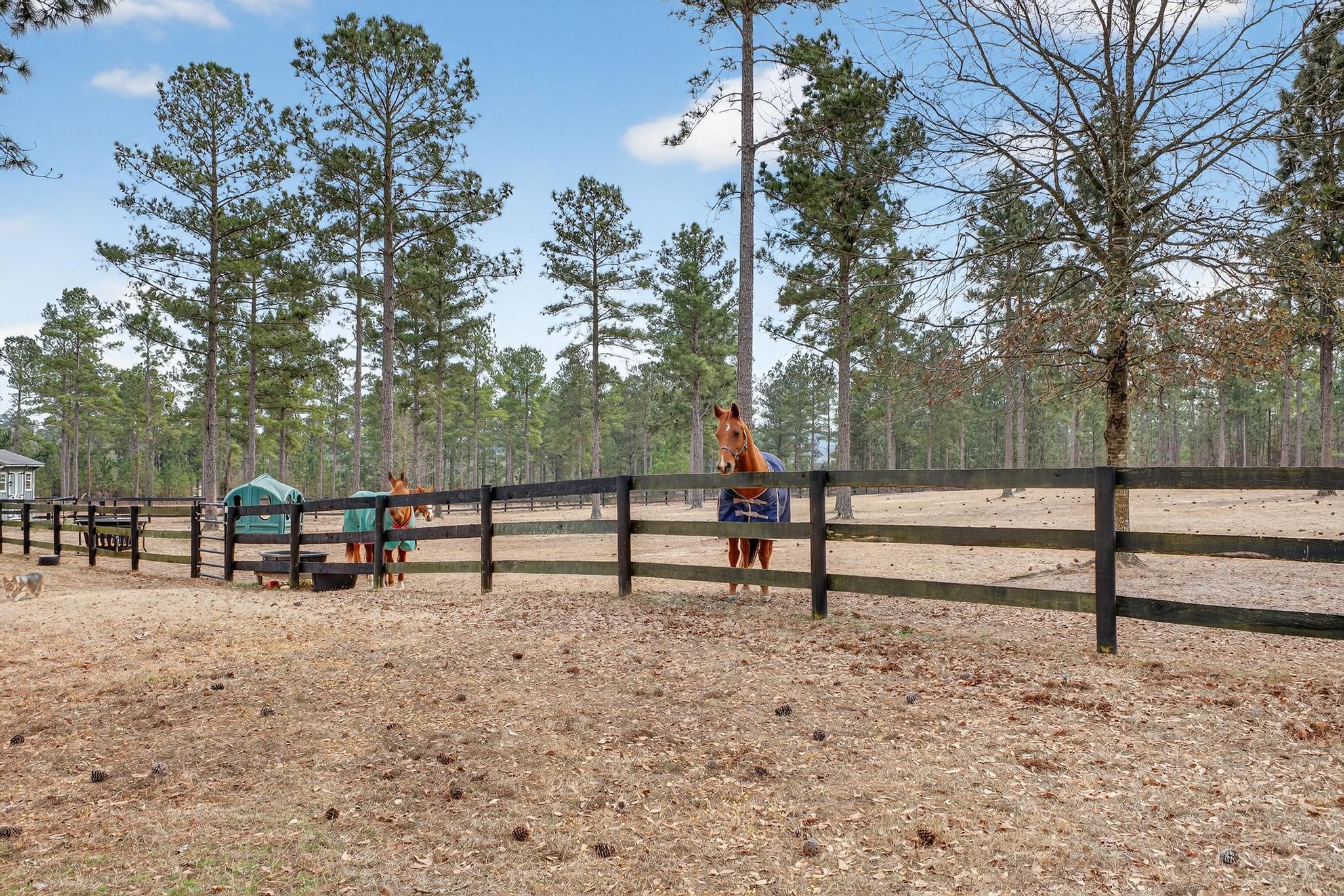140 Hurlingham Drive Aiken, SC 29801 - Photo 36 of 46 IMG_8621