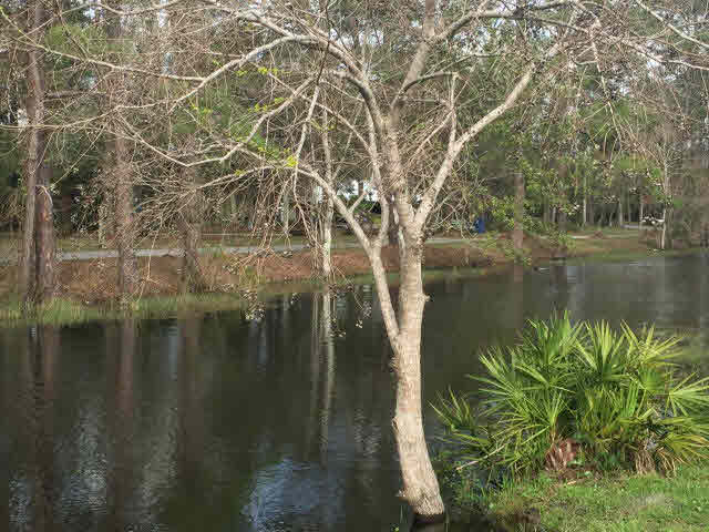 13 Claudette Circle Orange Beach, AL 36561 - Photo 21 of 22 Man made water way