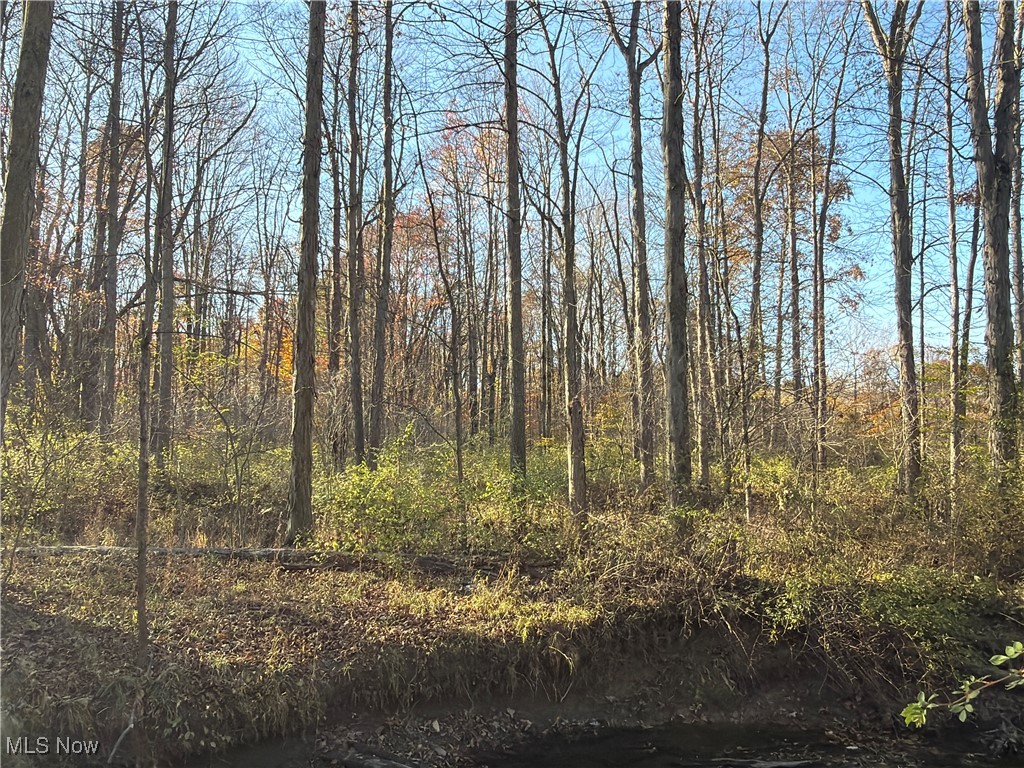 307 State Route Dorset, OH 44032 - Photo 14 of 50