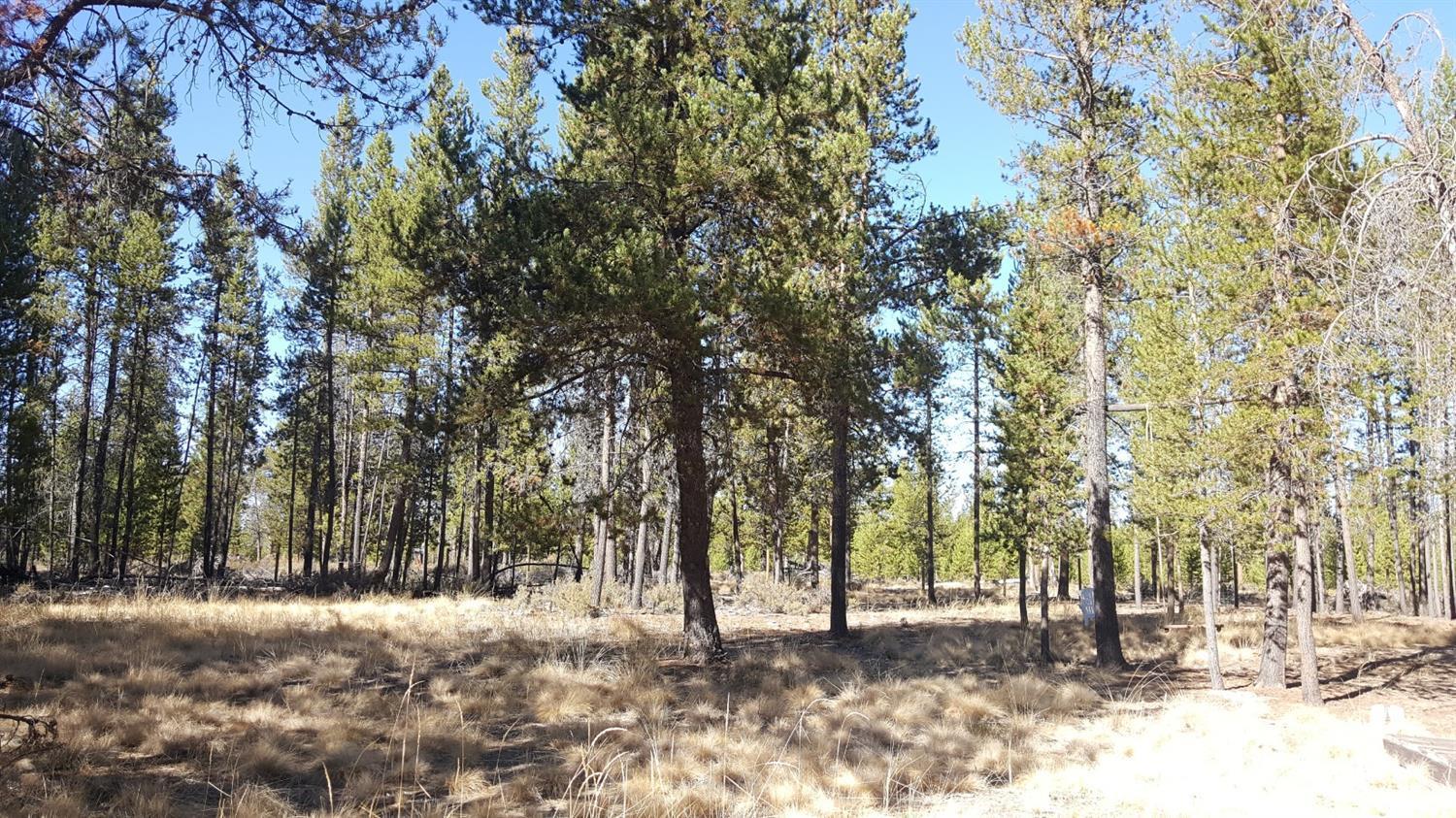 4300 Ranger Court La Pine, OR 97739 - Photo 3 of 6 Gallery Image 3