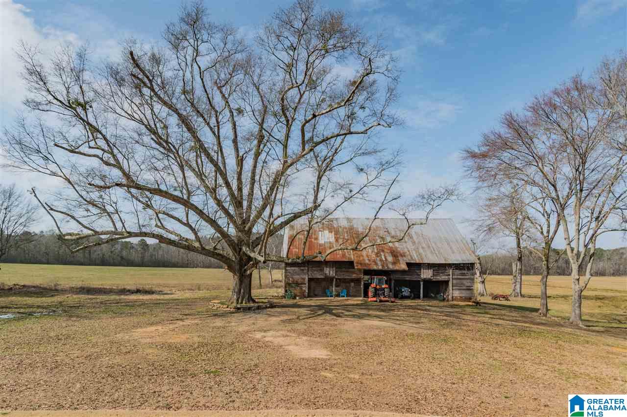 3484 Springville Boulevard Oneonta, AL 35121 - Photo 37 of 49