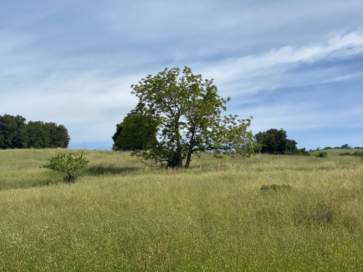 4152 Aborn Road San Jose, CA 95135 - Photo 4 of 8 a view of a yard