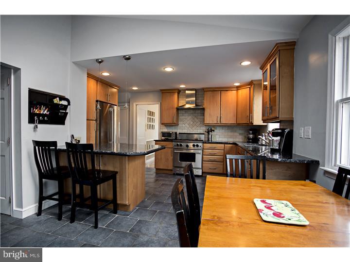 730 Arlington Road Penn Valley, PA 19072 - Photo 6 of 19 Kitchen
