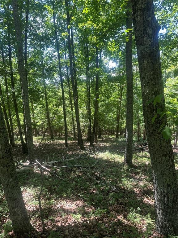 0 Owl Ridge Way Jasper, GA 30143 - Photo 1 of 22 a big yard with lots of green space and trees