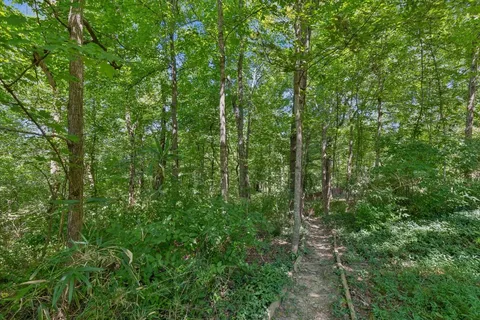 a view of a street with a tree
