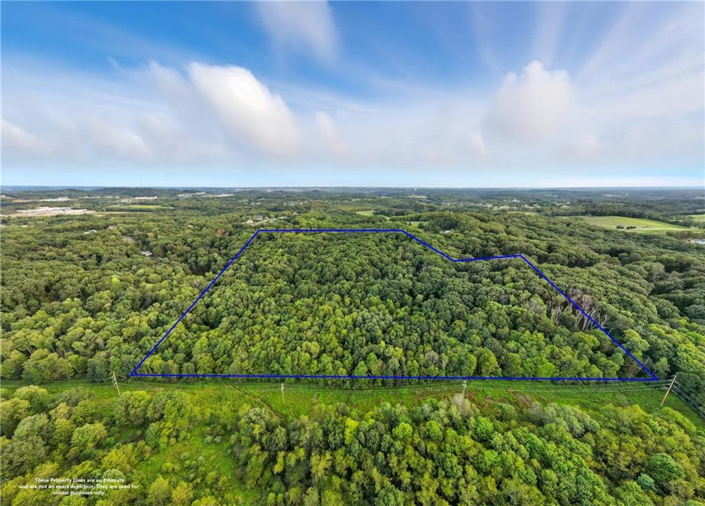 221 Zehner School Road Zelienople, PA 16063 - Photo 15 of 16 a view of a city with lush green forest
