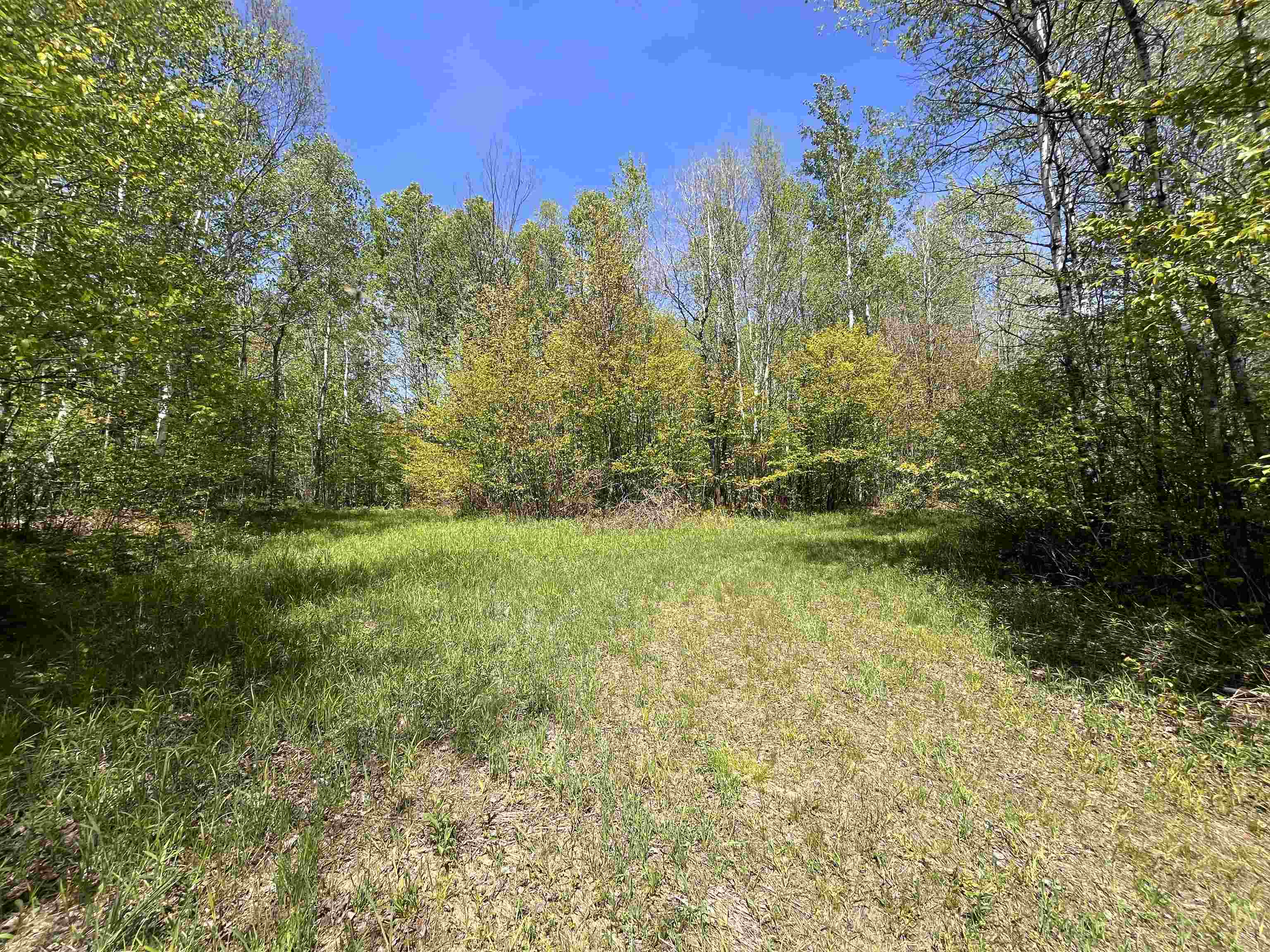 80-acres 80-acres Clausen Road Prentice, WI 54556 - Photo 16 of 17