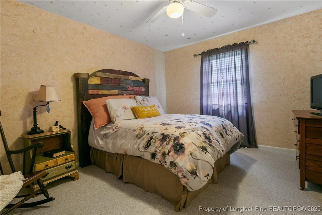 5017 Goldsboro Road Wade, NC 28395 - Photo 38 of 50 a bedroom with a bed and a tv on the dresser