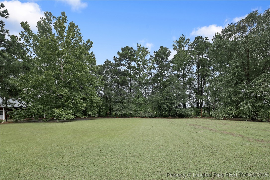 5017 Goldsboro Road Wade, NC 28395 - Photo 45 of 50 a view of outdoor space and yard