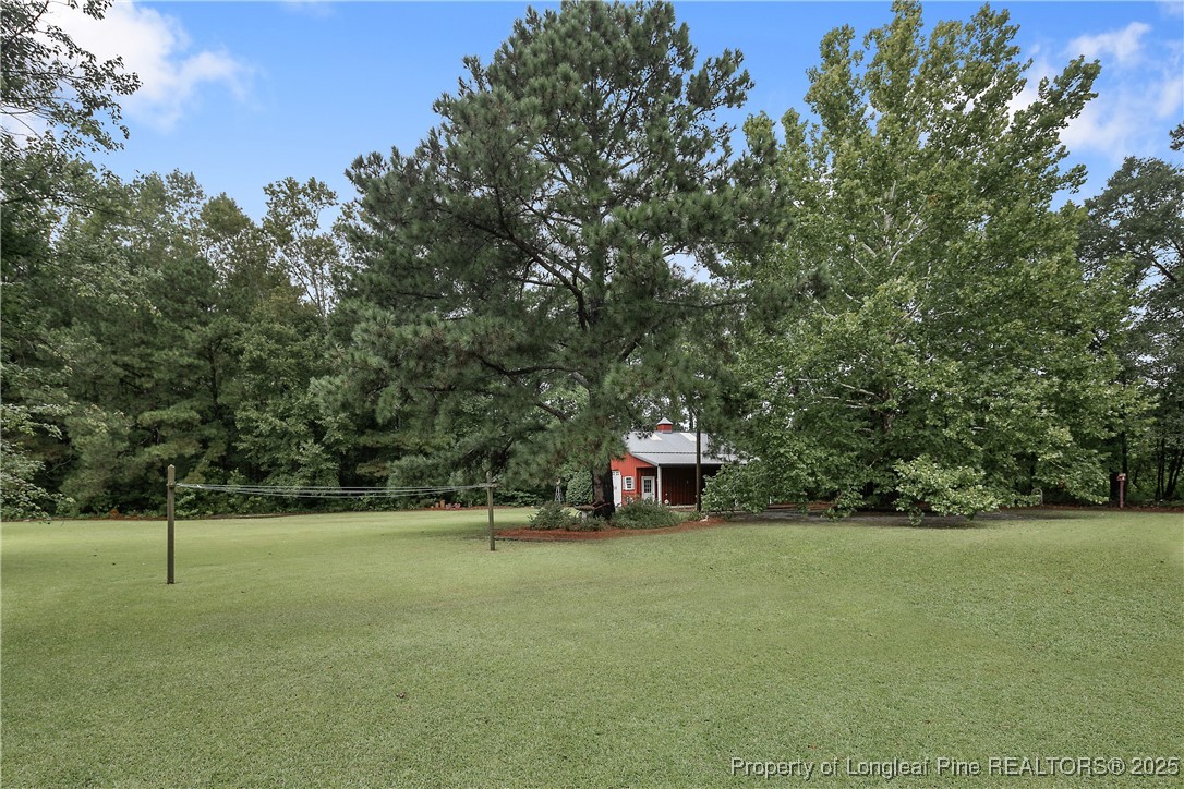 5017 Goldsboro Road Wade, NC 28395 - Photo 46 of 50 a view of a green field with wooden fence