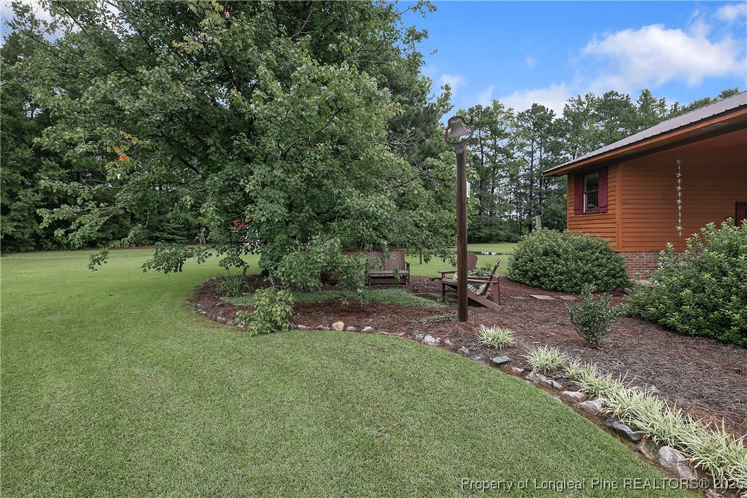 5017 Goldsboro Road Wade, NC 28395 - Photo 48 of 50 a view of a park with a tree