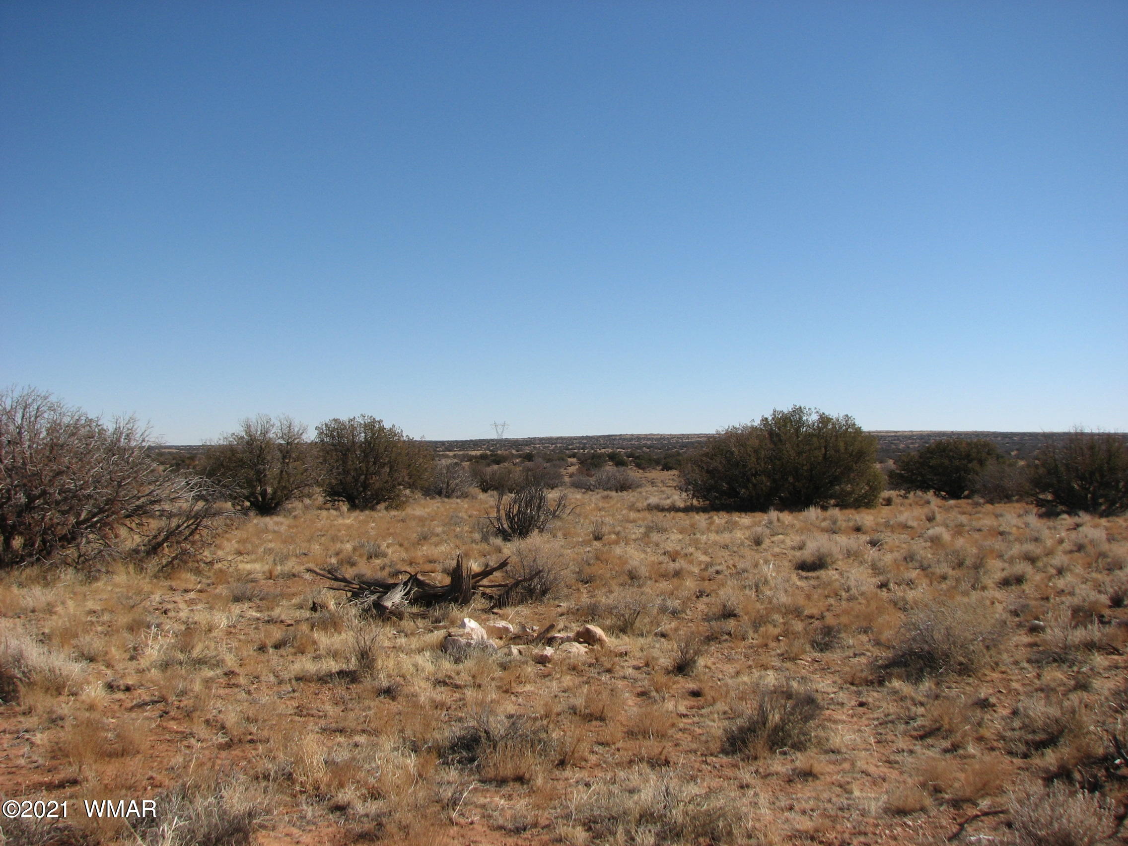 Lot 303 Lot Ranch Heber, AZ 85928 - Photo 2 of 9