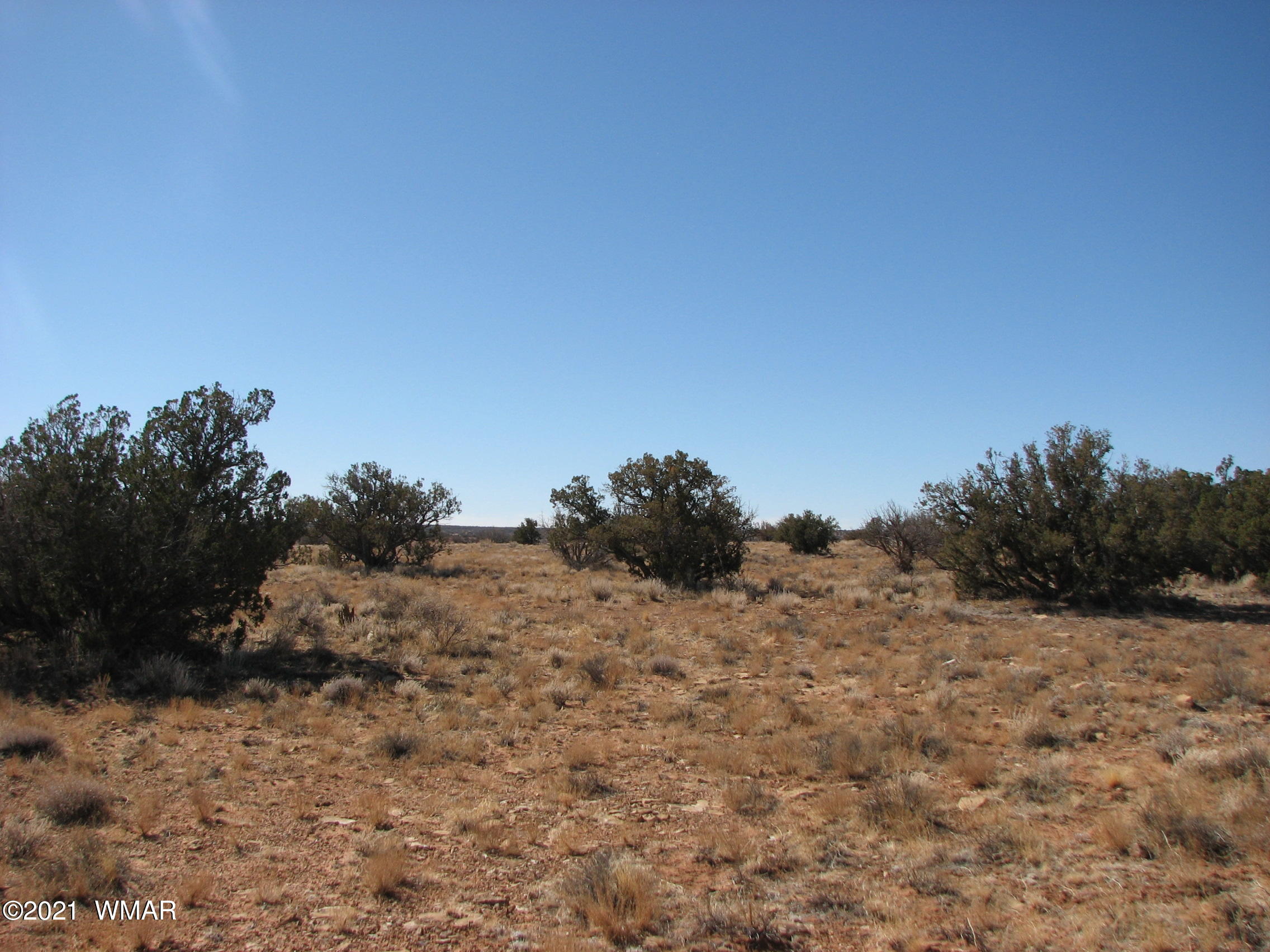 Lot 303 Lot Ranch Heber, AZ 85928 - Photo 3 of 9