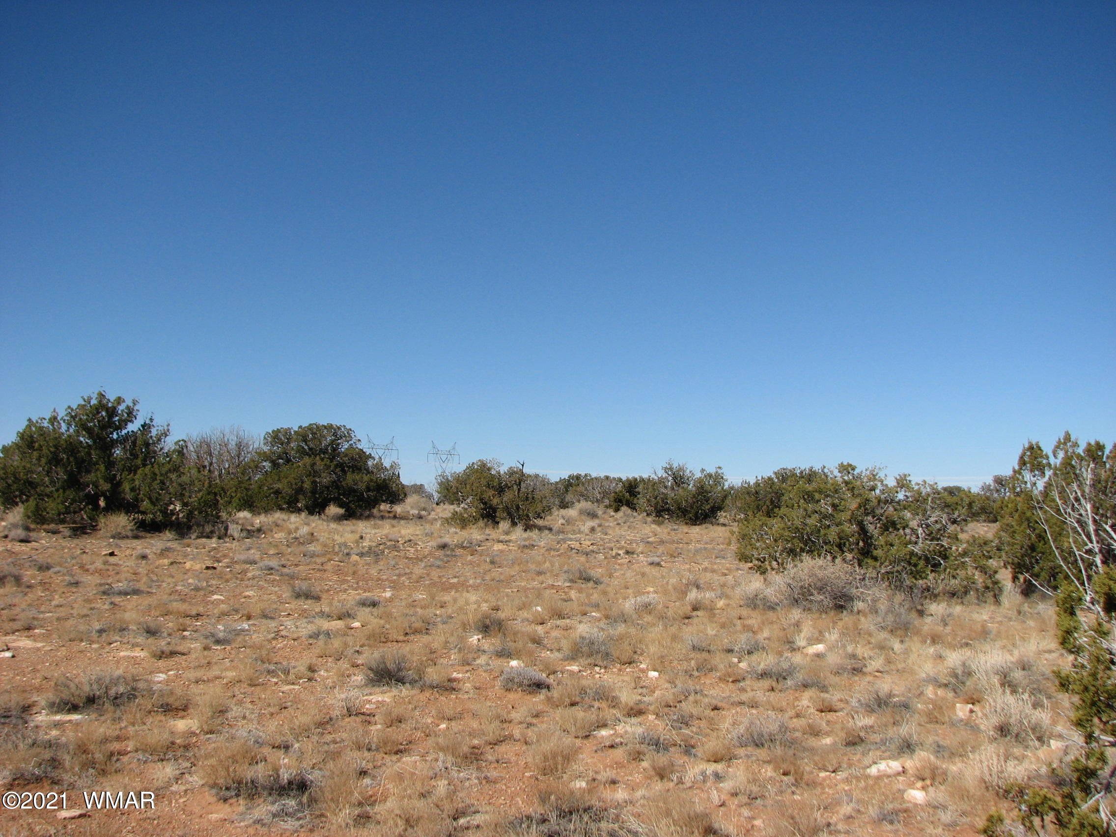 Lot 303 Lot Ranch Heber, AZ 85928 - Photo 4 of 9