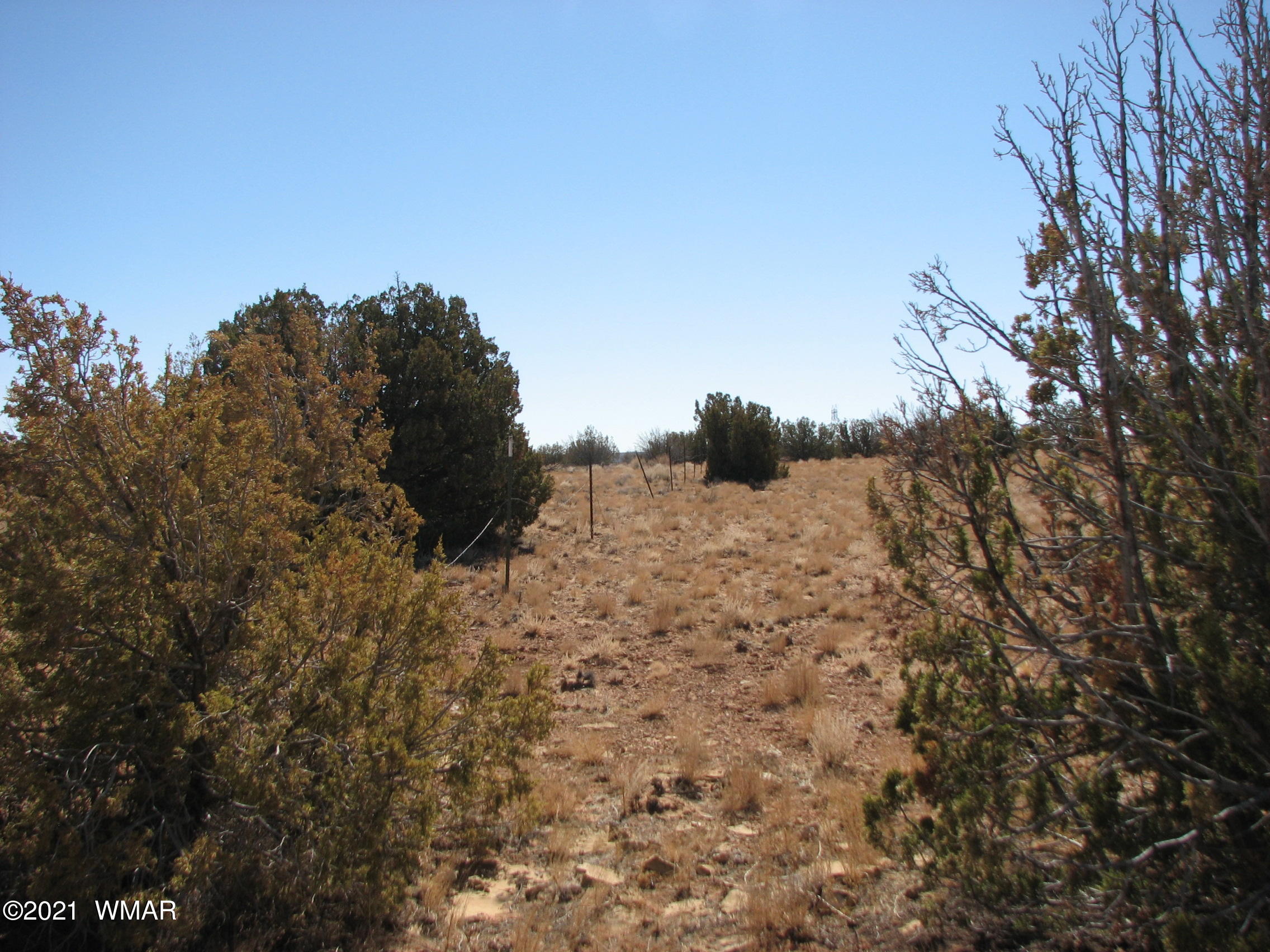 Lot 303 Lot Ranch Heber, AZ 85928 - Photo 5 of 9
