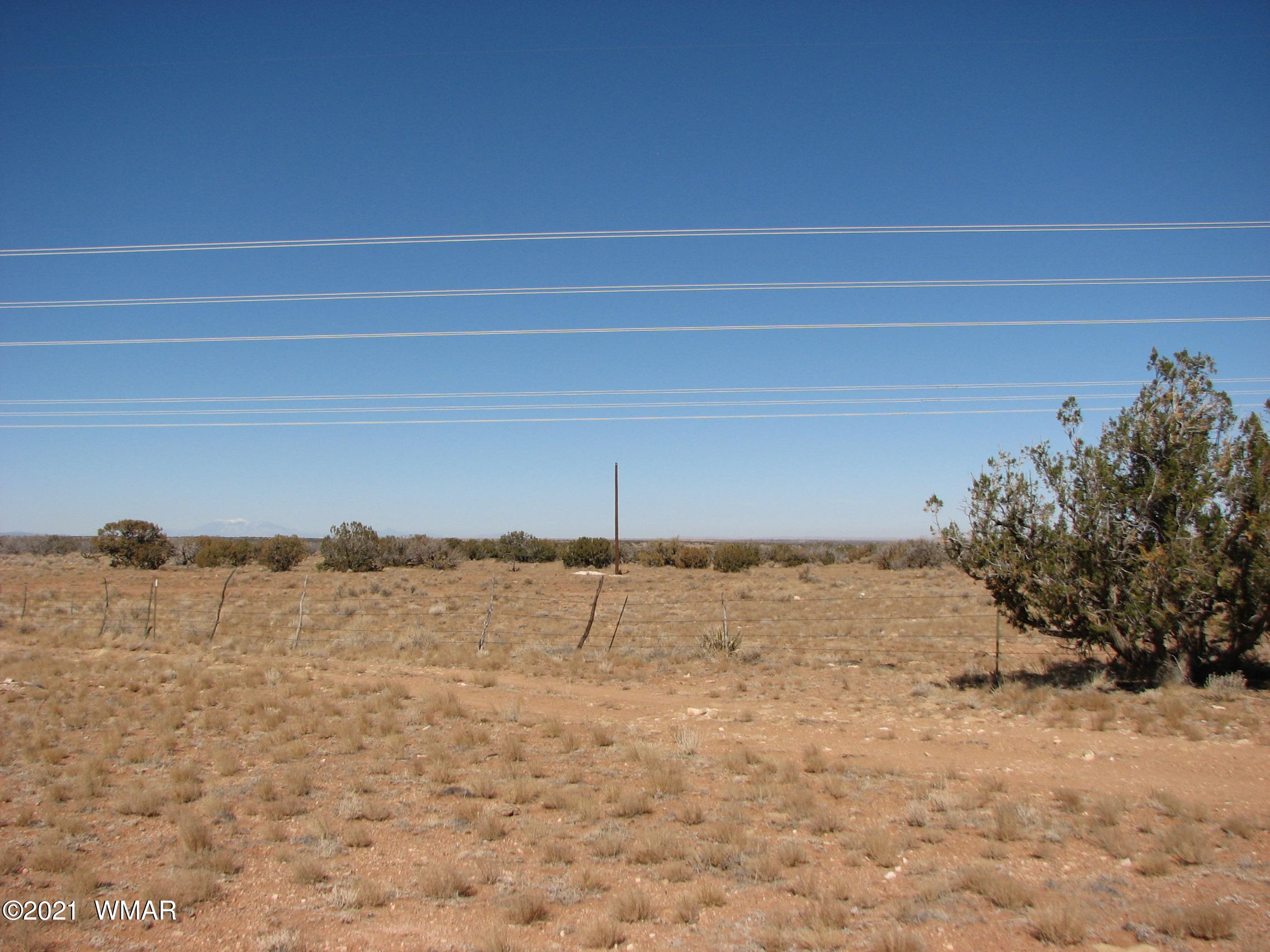 Lot 303 Lot Ranch Heber, AZ 85928 - Photo 6 of 9