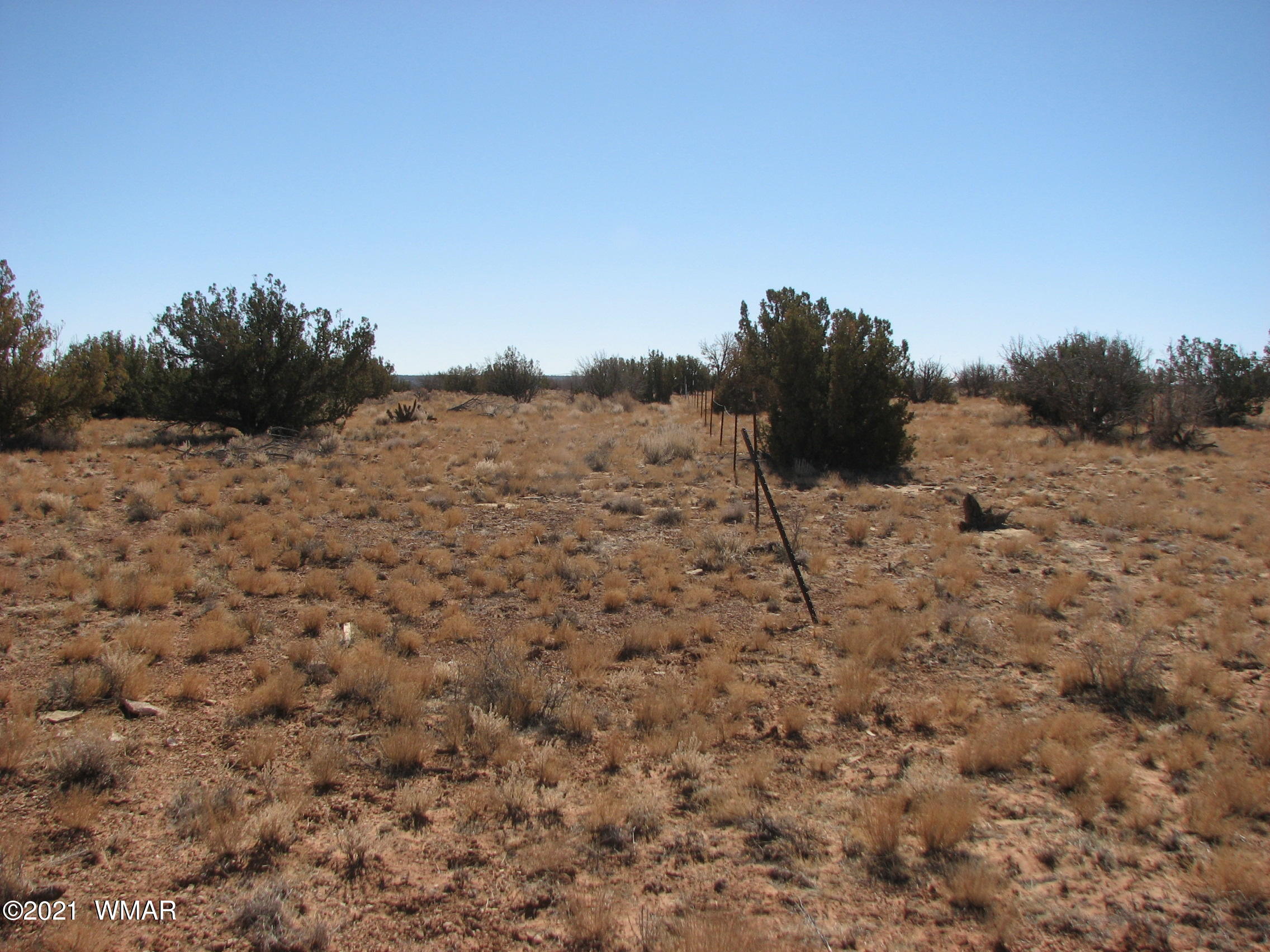 Lot 303 Lot Ranch Heber, AZ 85928 - Photo 7 of 9