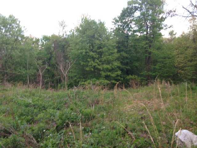 465 Lardintown Road Sarver, PA 16055 - Photo 3 of 6 Land.