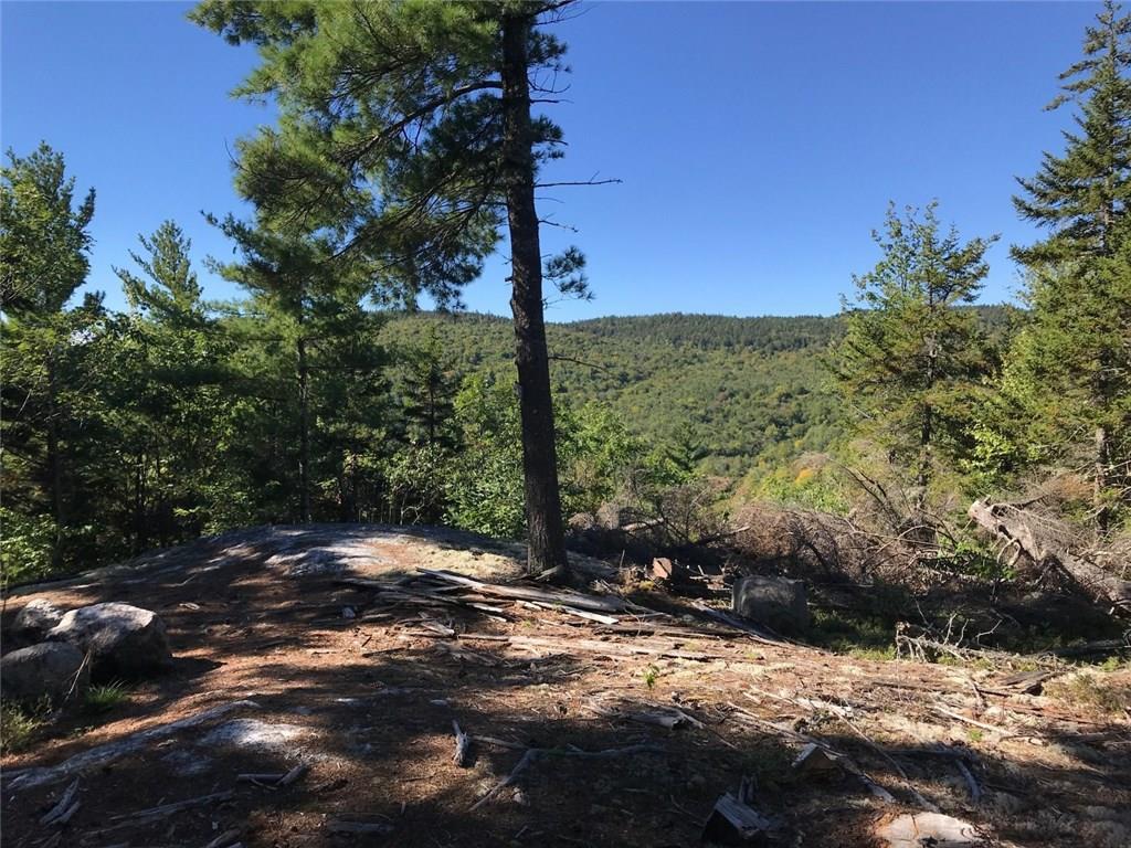 99 Mt Zircon Road Rumford, ME 04276 - Photo 4 of 35 Photo