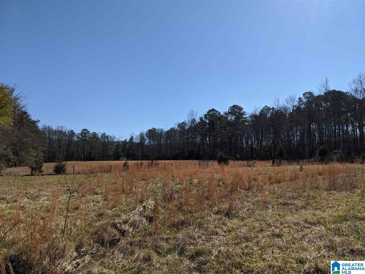 501 Eagle Bald Road Jacksonville, AL 36265 - Photo 42 of 49 Gallery Image 42
