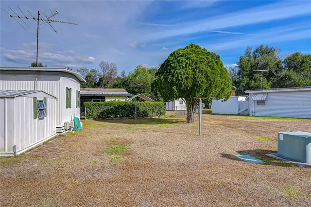 a house that has a tree in front of it