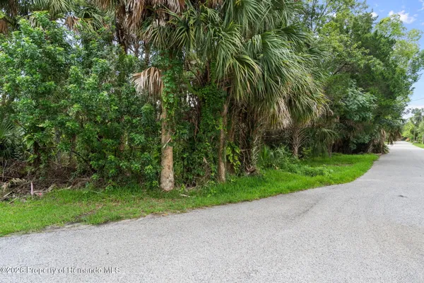 $175,000 | 0 River Point Drive, Weeki Wachee, FL 34607