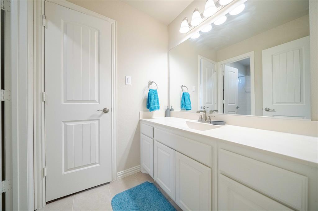 2630 Flat Bush Avenue Midlothian, TX 76065 - Photo 21 of 32 a bathroom with a sink and a mirror