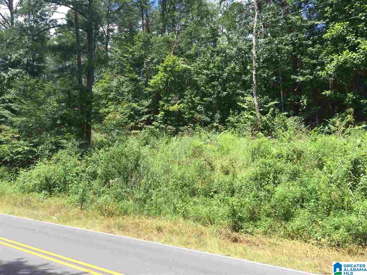 0 Old Springville Road, Unit 2 Pinson, AL 35126 - Photo 6 of 8