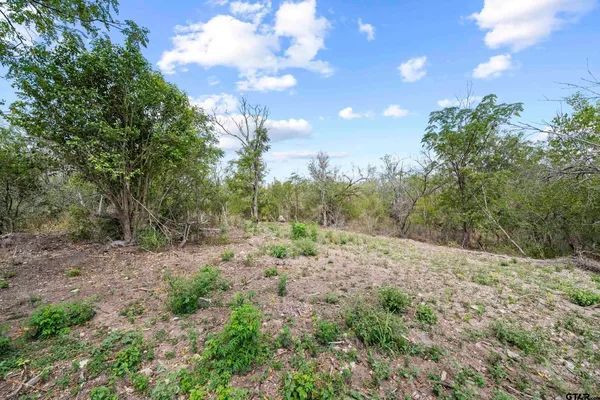 $260,000 | Lot 4 Fm 1979, Martindale, TX 78655
