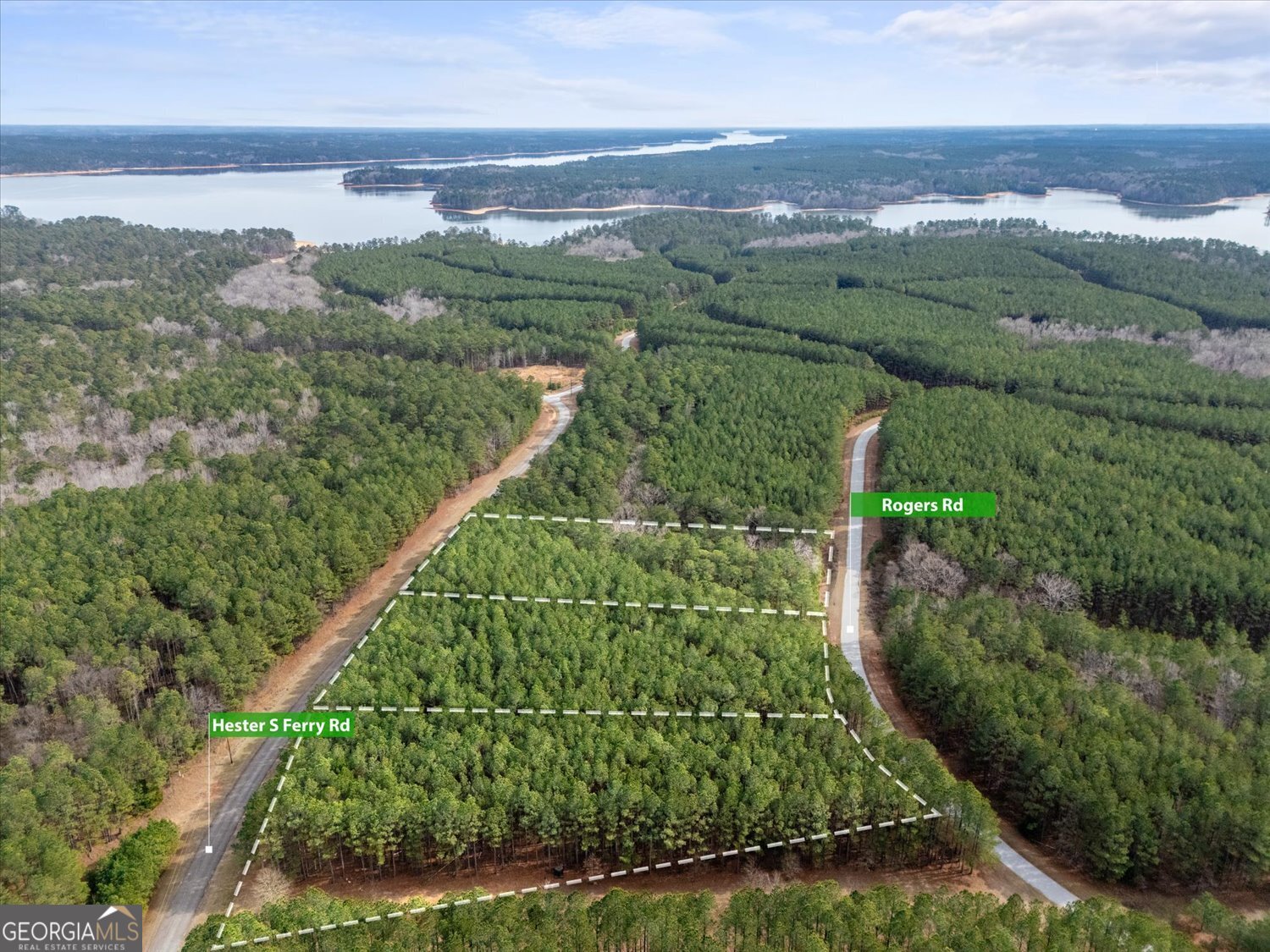 0 Rogers Road Tignall, GA 30668 - Photo 3 of 17 a view of a garden with an ocean