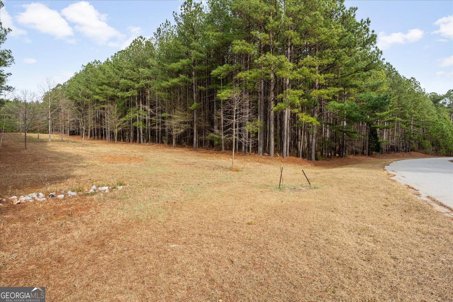 0 Rogers Road Tignall, GA 30668 - Photo 4 of 17 a backyard of a house with lots of green space