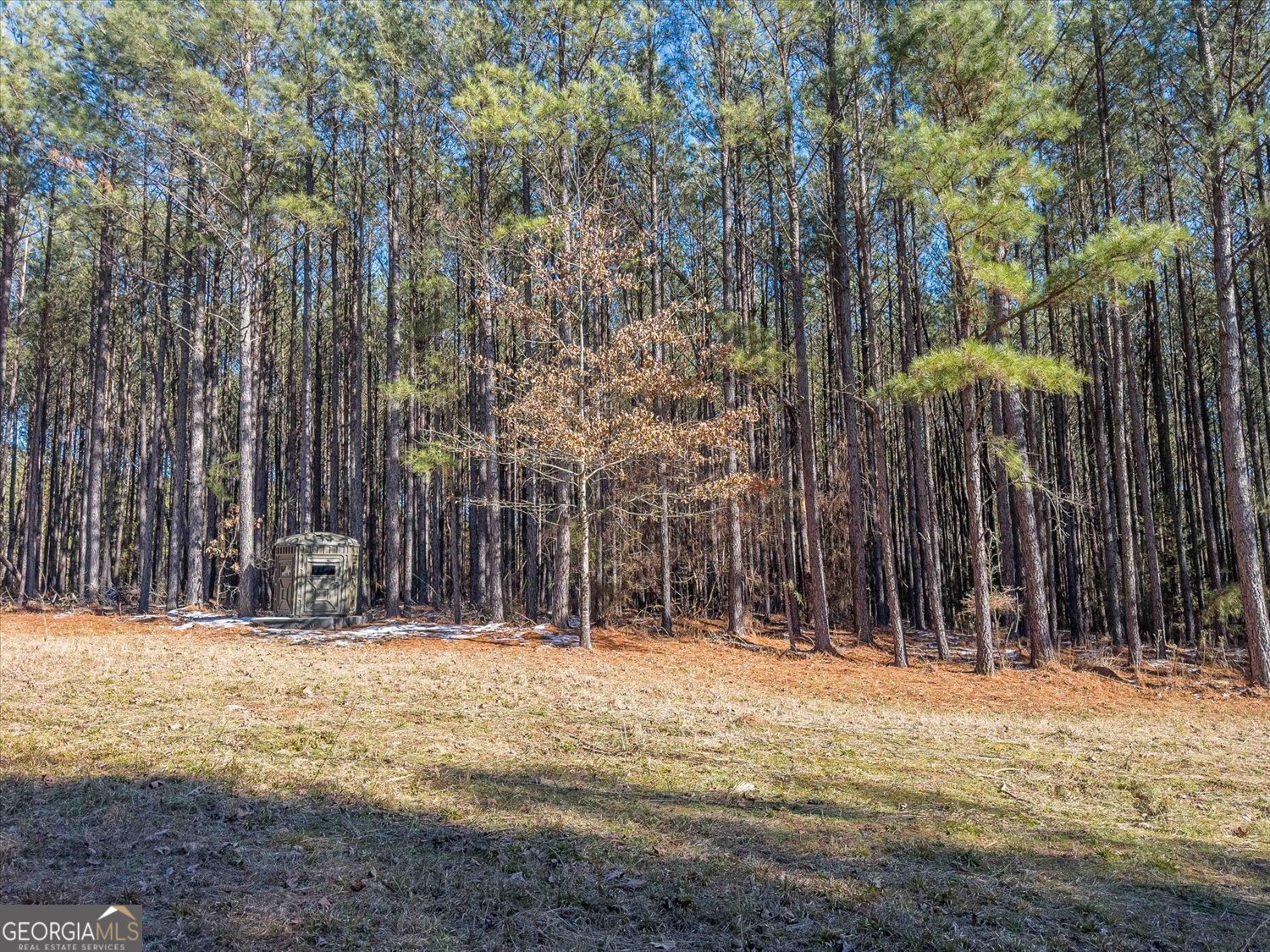 0 Rogers Road Tignall, GA 30668 - Photo 7 of 17 a view of house with snow on the road