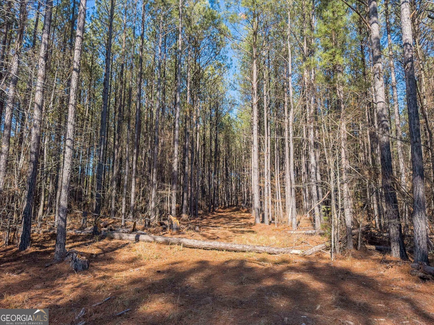0 Rogers Road Tignall, GA 30668 - Photo 8 of 17 a view of outdoor space with wooden fence