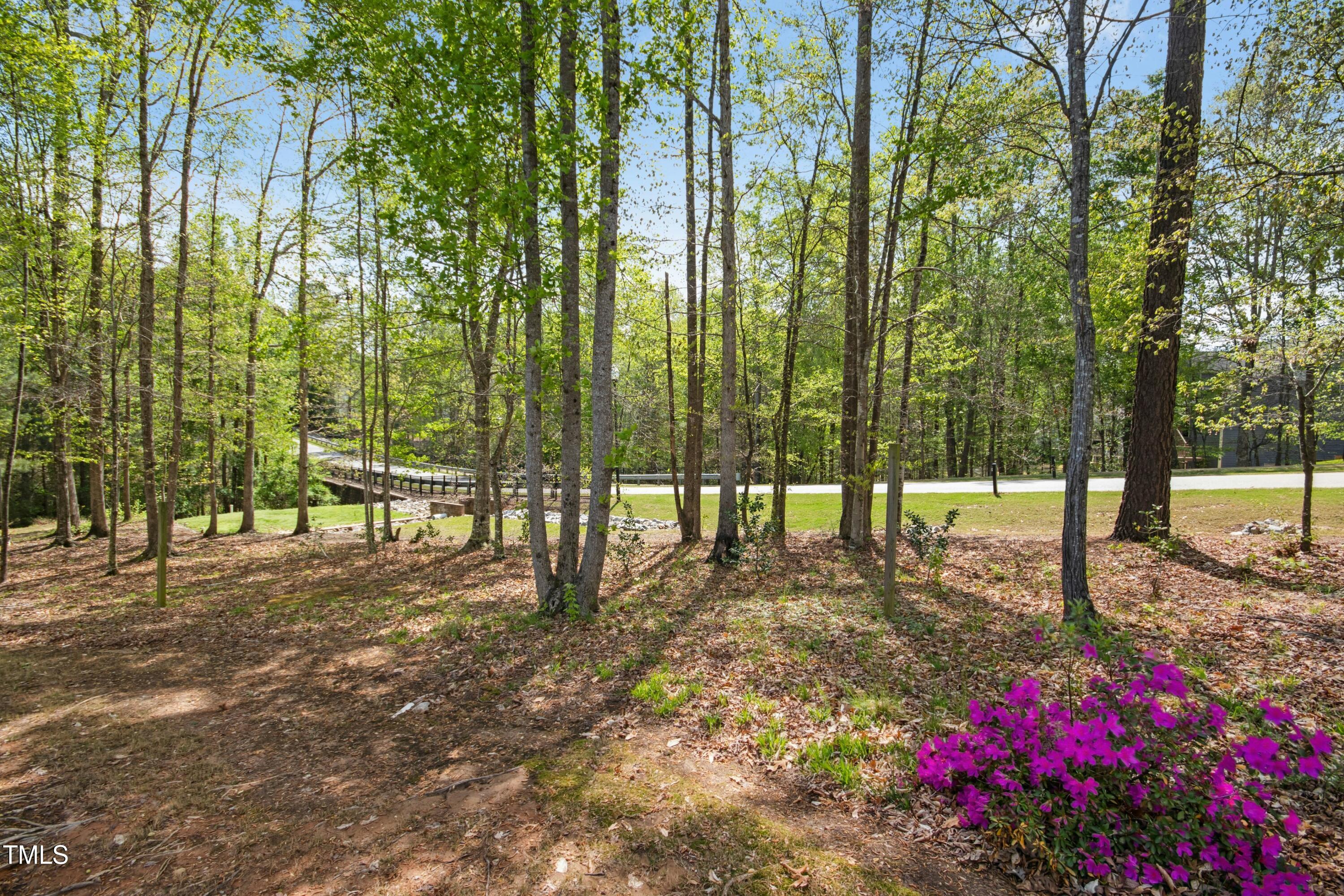 44 South Wilders Ridge Way Clayton, NC 27527 - Photo 47 of 56 a view of a street with lots of flowers and trees