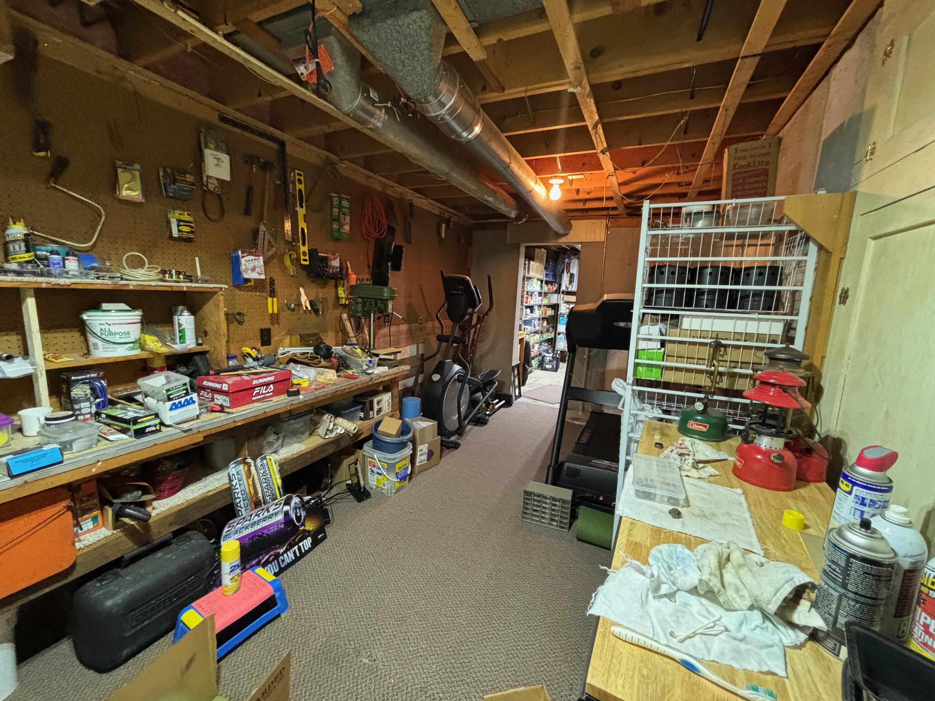 60 North Plum Street Hart, MI 49420 - Photo 42 of 64 IMG_4807