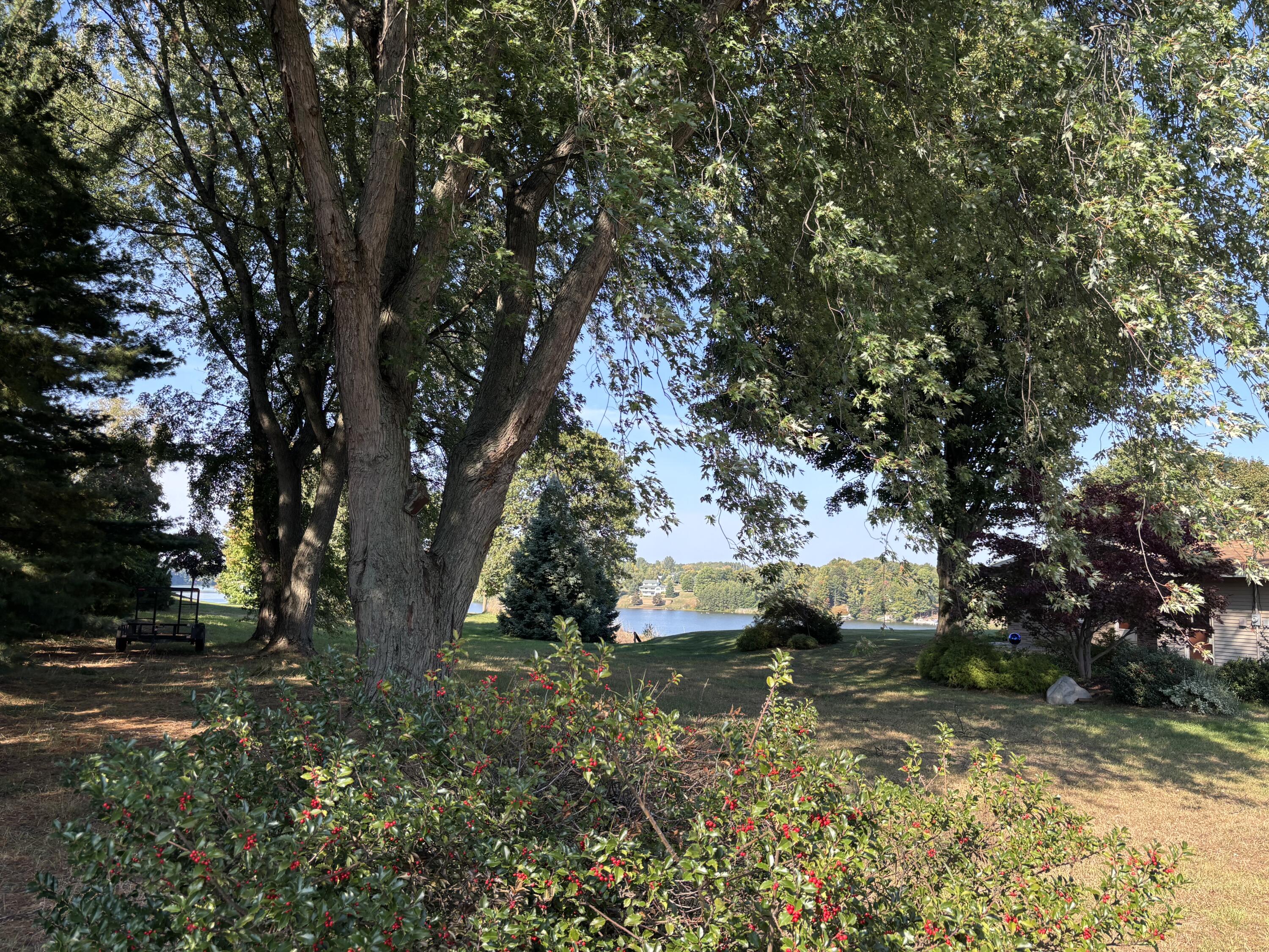 60 North Plum Street Hart, MI 49420 - Photo 58 of 64 IMG_4830