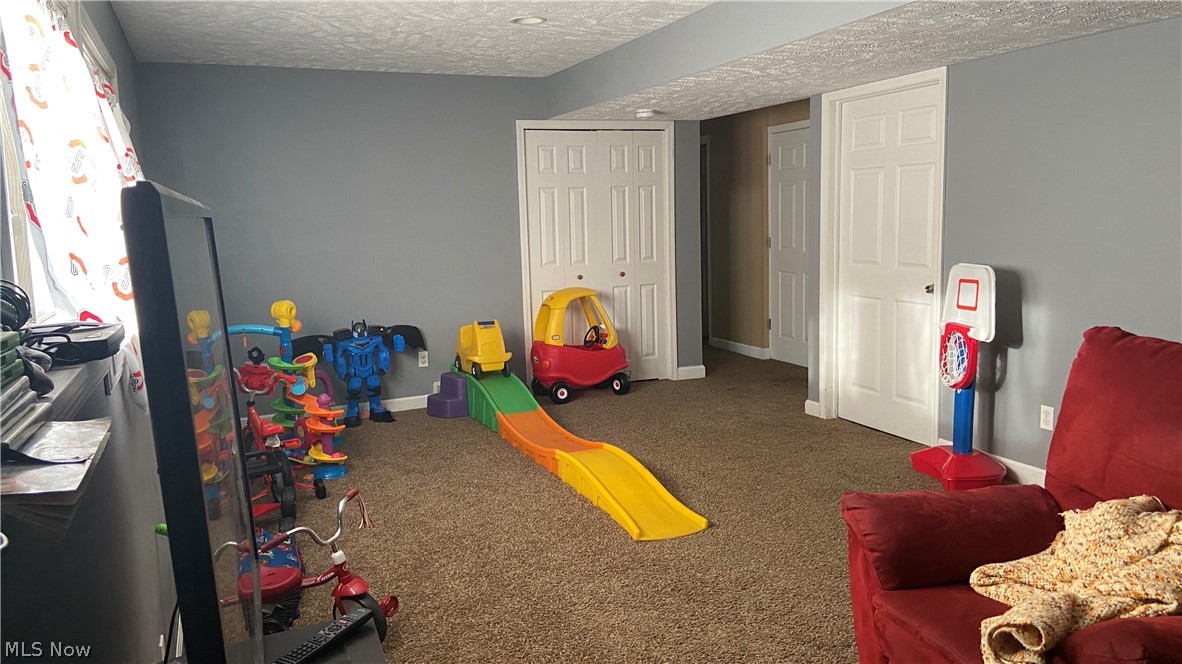 773 Bacon Road Painesville, OH 44077 - Photo 16 of 20 Lower Level Family Room.