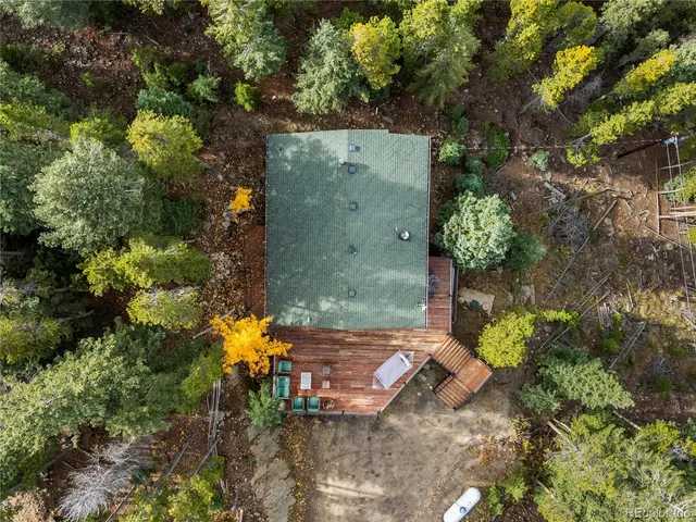 a view of a yard with plants