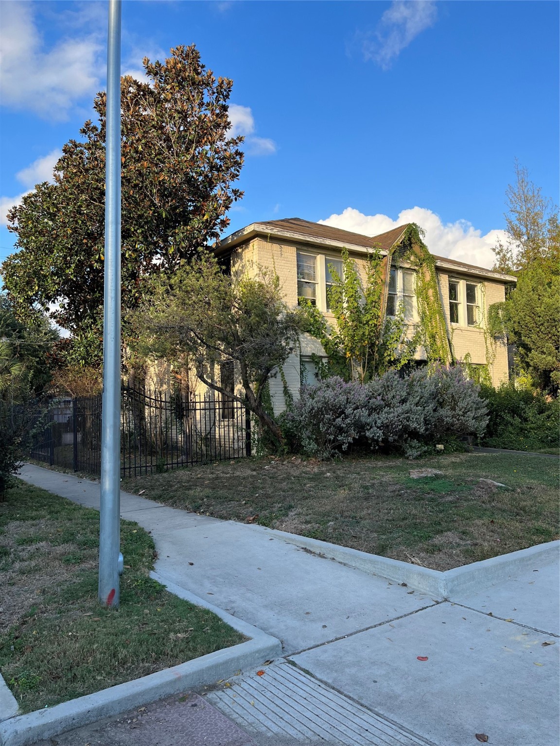 1540 Hawthorne Street, Unit 4 Houston, TX 77006 - Photo 6 of 9