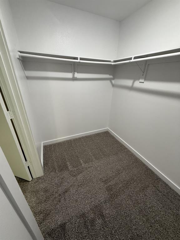 505 Thomas Street Terrell, TX 75160 - Photo 21 of 38 Walk-in closet featuring white walls, wrap-around shelving, and gray carpet flooring