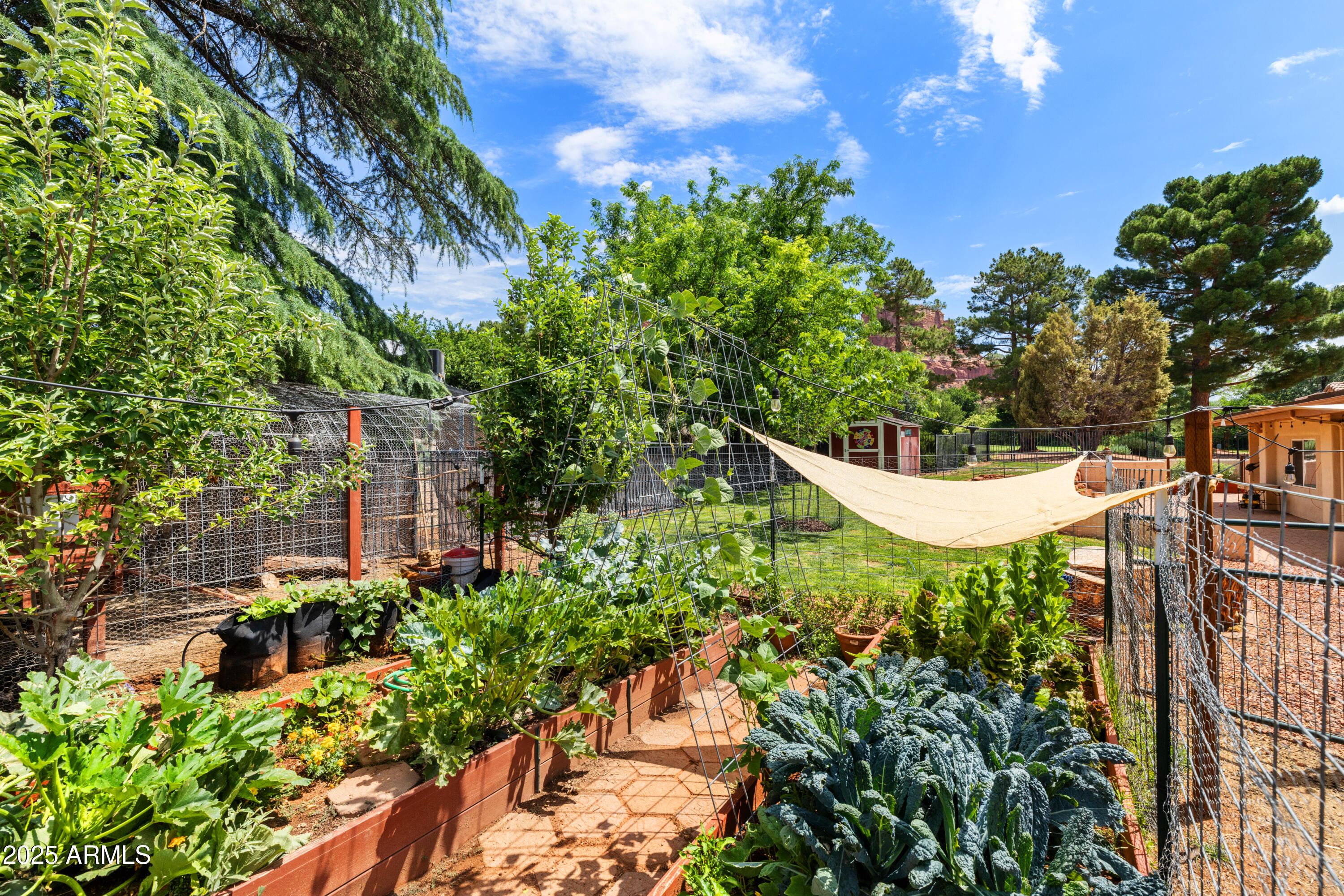25 Miner Circle Sedona, AZ 86351 - Photo 48 of 56 25 Miner Cir - Garden