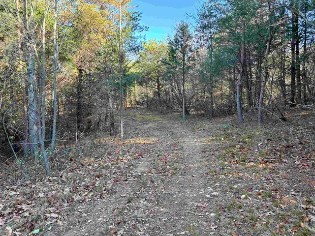 a view of a yard with plants and trees