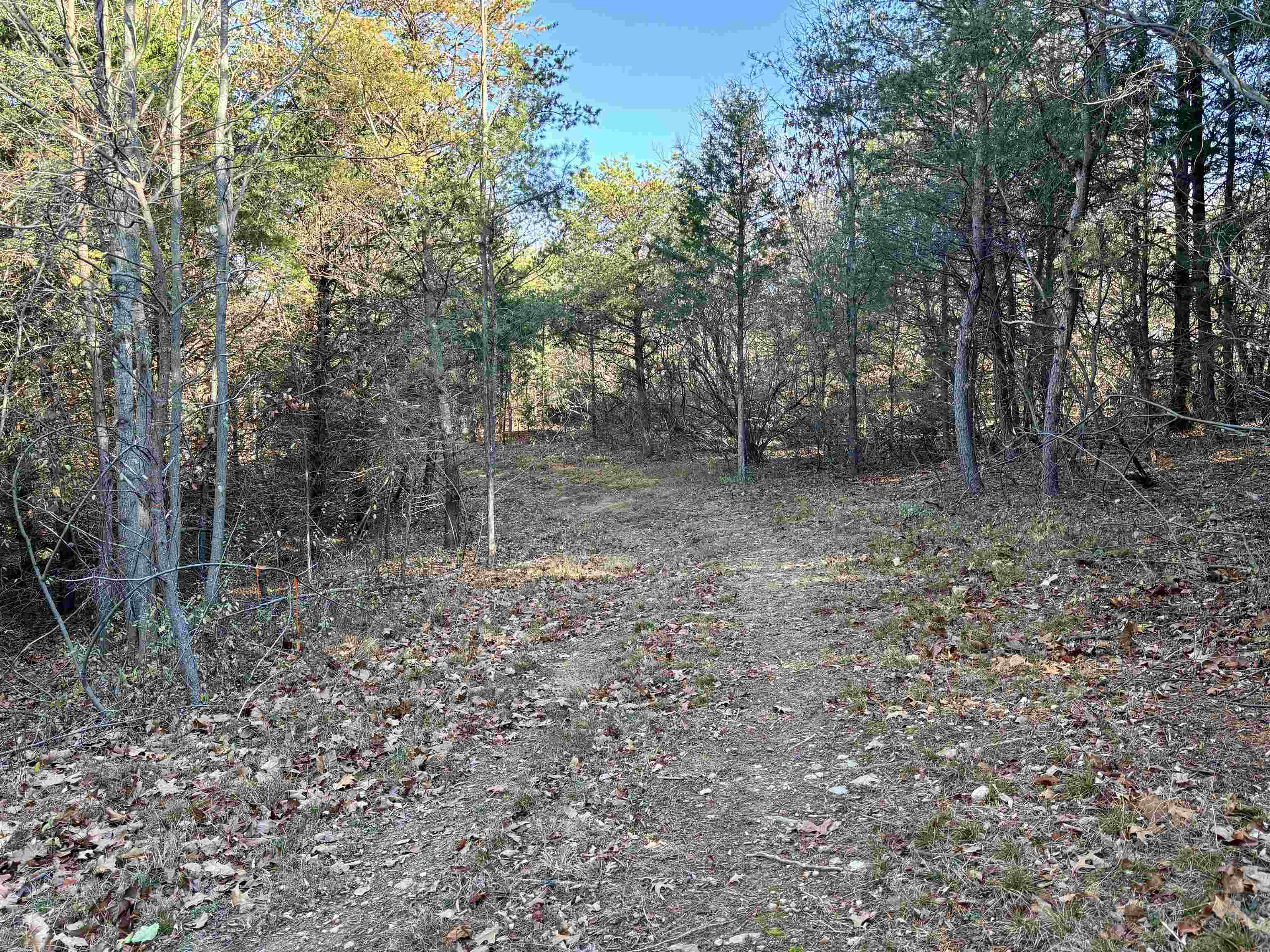 Harper Valley Road Luray, VA 22835 - Photo 13 of 32 a view of a yard with trees
