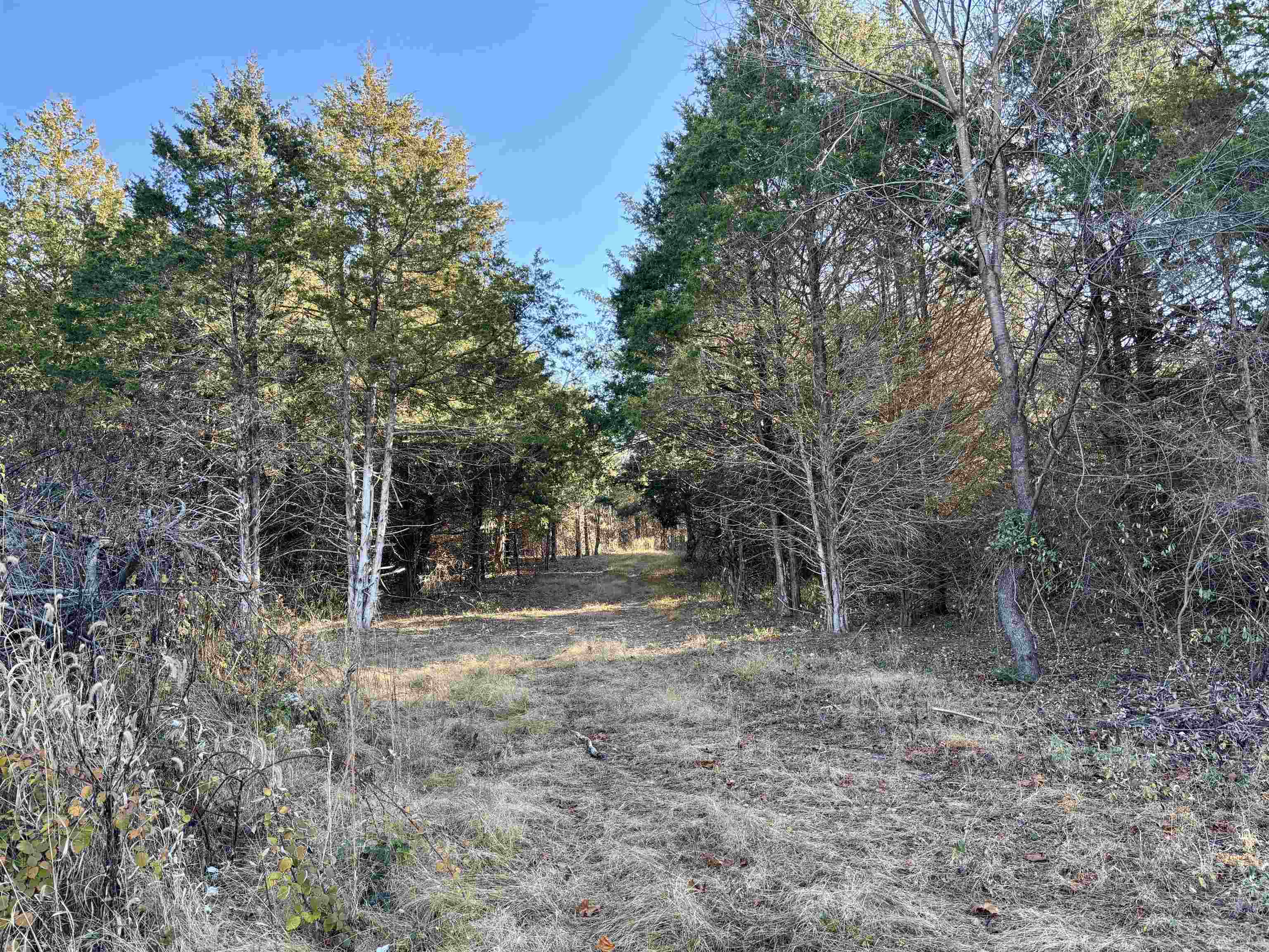 Harper Valley Road Luray, VA 22835 - Photo 15 of 32 a view of a forest with trees in the background