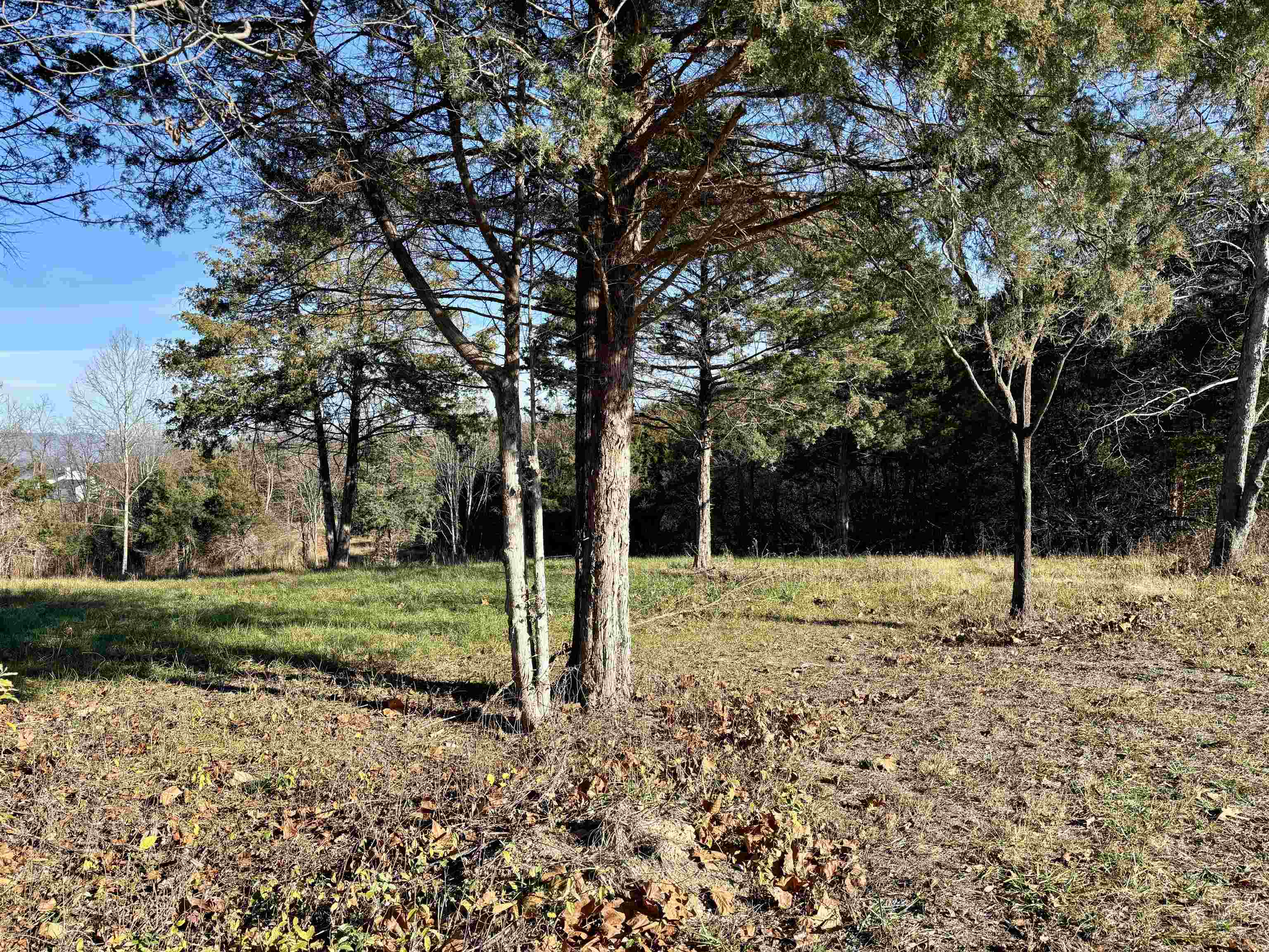 Harper Valley Road Luray, VA 22835 - Photo 18 of 32 a view of a backyard