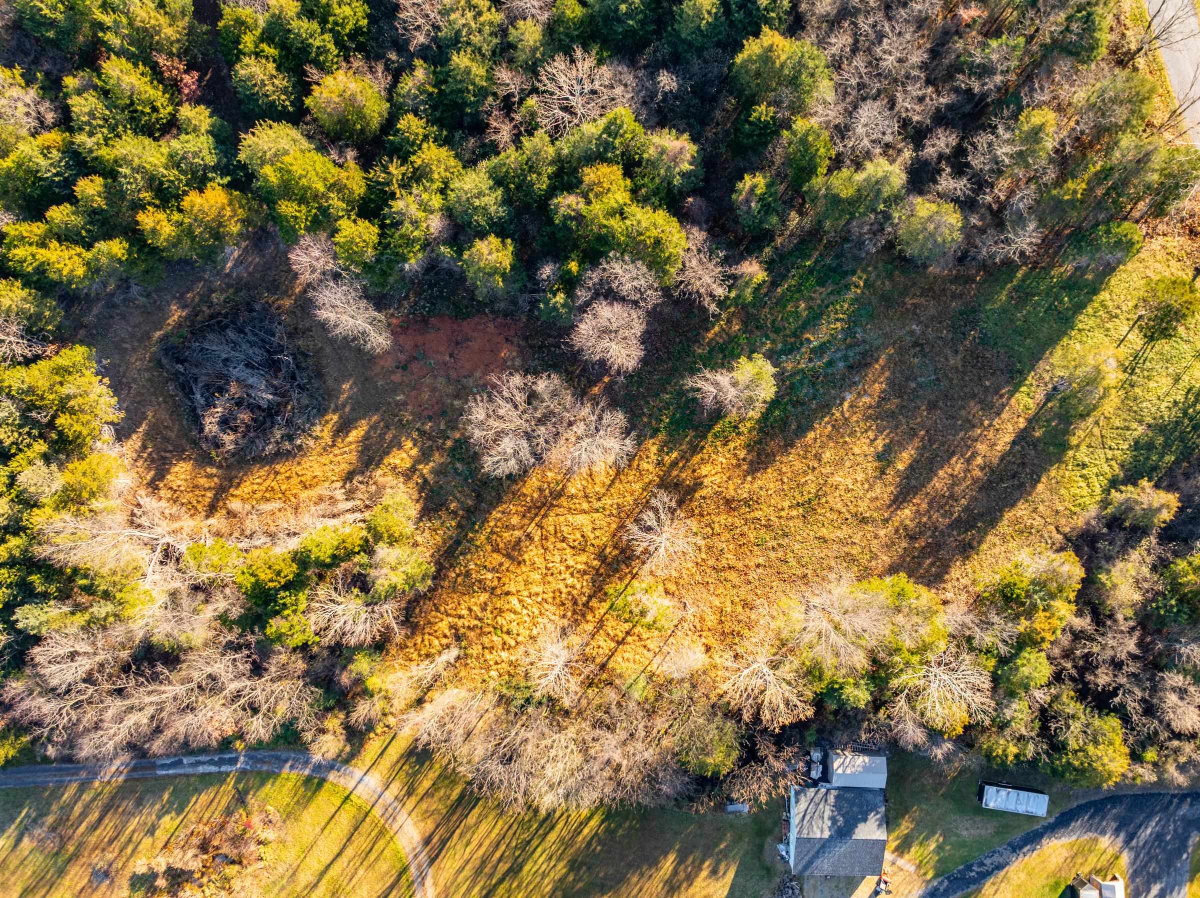Harper Valley Road Luray, VA 22835 - Photo 20 of 32