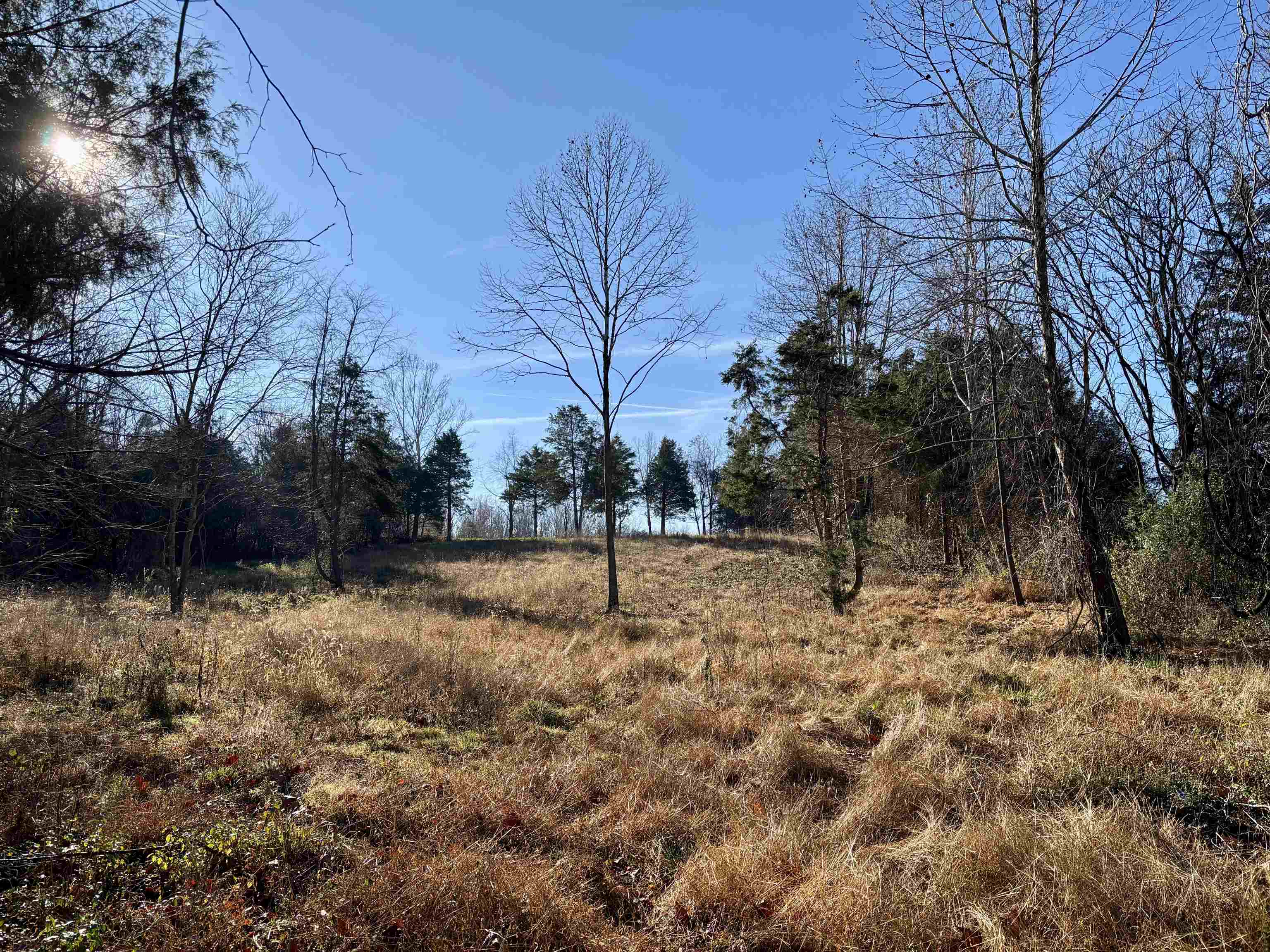 Harper Valley Road Luray, VA 22835 - Photo 8 of 32 a view of yard with tree
