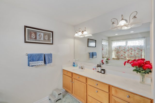 1350 Hunters Ridge West Hoffman Estates, IL 60192 - Photo 24 of 41 a bathroom with a double vanity sink and a mirror