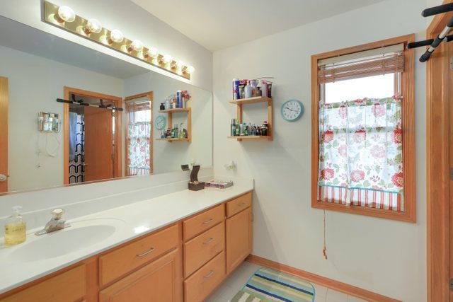 1350 Hunters Ridge West Hoffman Estates, IL 60192 - Photo 30 of 41 a bathroom with a sink and a mirror